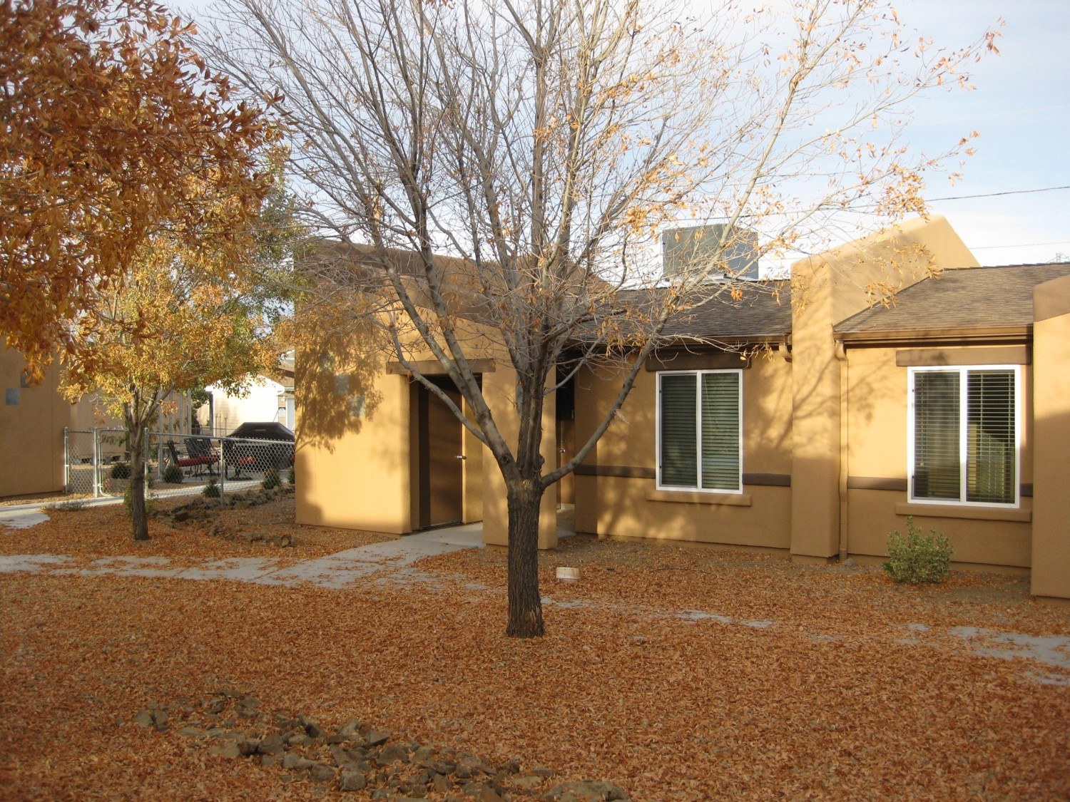 A tree with orange leaves in front of a tan house.